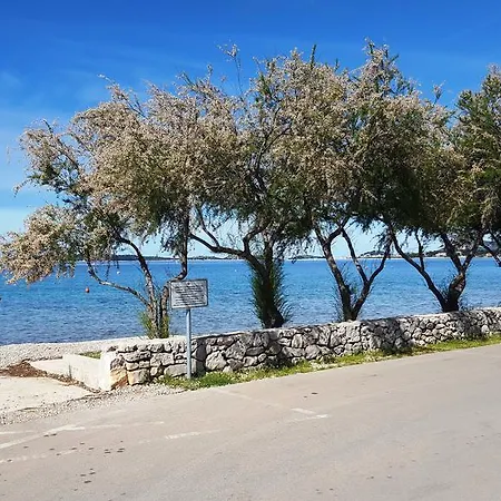 Ivan Vodice